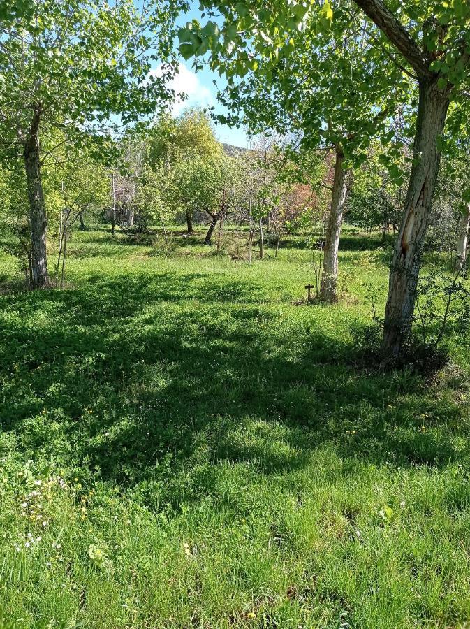 Camping Yaso-Guara Zewnętrze zdjęcie