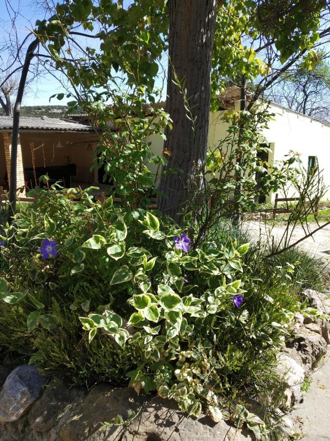 Camping Yaso-Guara Zewnętrze zdjęcie
